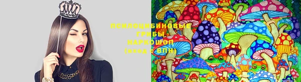 наркотики Алексин