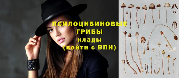 наркотики Алексин